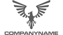Company